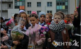 94% заявлений в первый класс в Ленобласти было подано через портал госуслуг