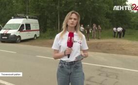 На месте обнаружения тела убитой 12-летней девочки продолжают работать следователи