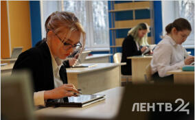 Более 20 выпускников из Ленобласти сдали на 100 баллов ЕГЭ по математике
