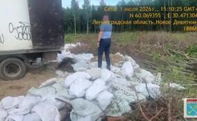На участке в Новом Девяткино во второй раз образовалась нелегальная свалка