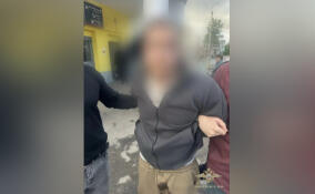 Задержан подозреваемый в убийстве 12-летней девочки в Тосненском районе