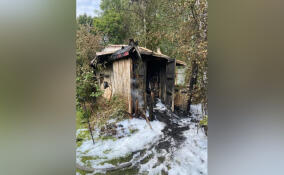На пожарах в Ленобласти за сутки спасли четырех человек