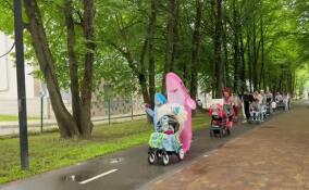 Семьи Гатчины показали креативно украшенные коляски