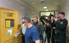 Суд арестовал подозреваемого в убийстве девочки в Тосненском районе