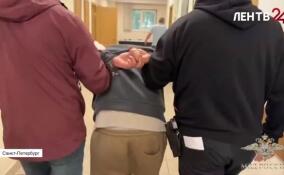 Суд отправил под стражу обвиняемого в убийстве 12-летней Миланы в Тосненском районе
