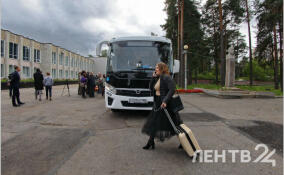Жительница Кингисеппа пожаловалась губернатору на цены на билеты до Петербурга