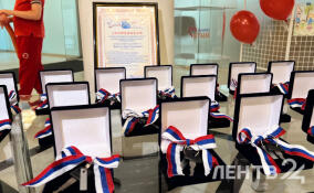 Девятнадцать многодетных семей из Ленобласти получили микроавтобусы