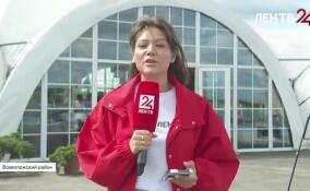 Во Всеволожском районе на одной сцене заключили брак сразу 14 пар