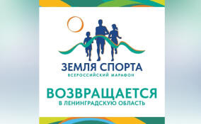 «Земля спорта» возвращается в Приозерский район