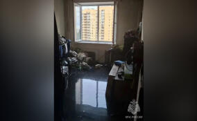 При пожаре в многоэтажке в Новом Девяткино пострадала женщина