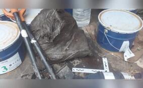 В Ленобласти поймали фальшивых дорожных рабочих с более 40 кг наркотиков