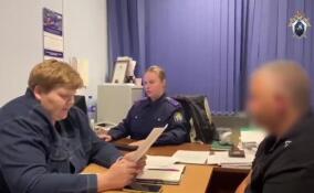 Двое мужчин попытались убить и ограбить пожилую жительницу Терволово
