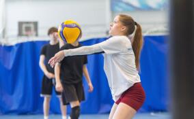 От волейбола до стрельбы: о спортивных выходных в Ленобласти