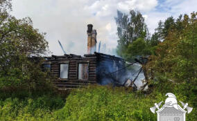 Огонь уничтожил дом на две семьи в Сланцевском районе