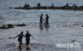 Сухо, солнечно и до +30: прогноз погоды в Ленобласти на 12 июля