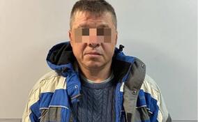 Жителя Аннолово задержали за стрельбу в частном доме