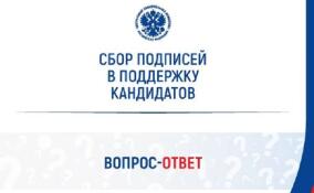 ЦИК разъяснил правила сбора подписей для участников ЕДГ-2026