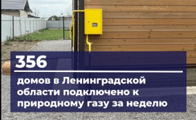 За неделю в Ленобласти подключили к газу ещё 356 домов