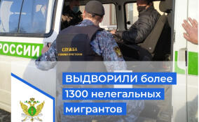 С начала года судебные приставы Ленобласти выдворили более 1350 иностранцев