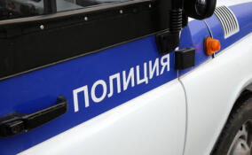 Курьера мошенников задержали за обман петербургской пенсионерки в Назии