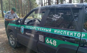 За неделю в Ленобласти составили 55 протоколов за нарушения правил посещения заповедных территорий