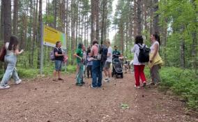 «ТурКлуб47» начал летний сезон в Коккоревском заказнике