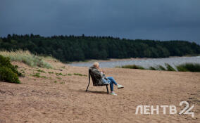 Пасмурно, ветрено и дожди: прогноз погоды в Ленобласти на 21 июля