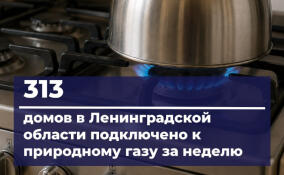 Ещё 313 домов подключили к газу в Ленобласти