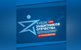 Выборг примет «Кубок Защитников Отечества» для ветеранов боевых действий