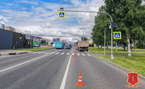 Уголовное дело возбуждено после смертельного ДТП на проспекте Культуры