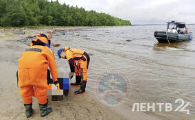 На Ладоге нашли тела байдарочников, пропавших в непогоду 19 июля