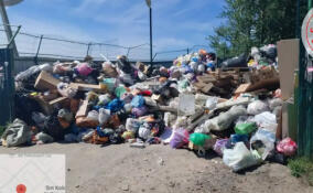 У контейнерной площадки в Колтушах ликвидировали нелегальную свалку