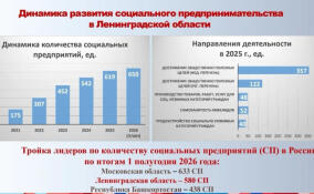 Социальных предпринимателей в Ленобласти за шесть лет стало в 20 раз больше