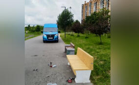 В парке «Оккервиль» станет больше скамеек