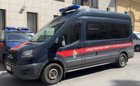 В Выборгском районе подростка задержали за нападение с ножом на мужчину