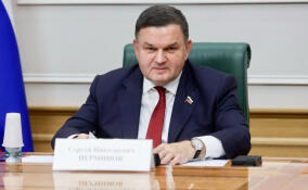 Перминов оценил превращение «Госуслуг» в соцсеть и мессенджер