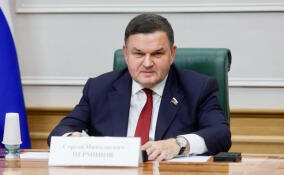 Сенатор Перминов: проект «Оберег 47» научит добровольцев спасать людей