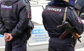 В Выборге задержали рецидивиста, ограбившего школьницу