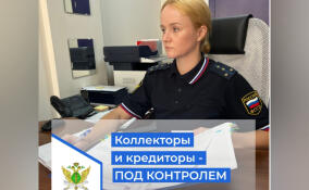 За год коллекторы и банки в Ленобласти заплатили более 1,2 млн рублей штрафов