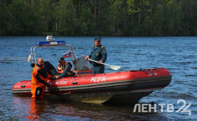 40-летний мужчина утонул в карьере в Шапках
