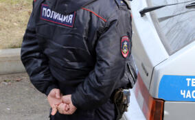 На трассе М-11 в Ленобласти поймали находящегося в федеральном розыске мужчину