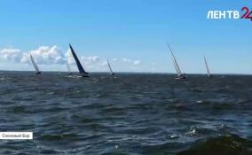 В Сосновом Бору стартовал чемпионат России по парусному спорту в классе Л-6