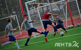 Футбол станет базовым видом спорта в Ленобласти с 2027 года