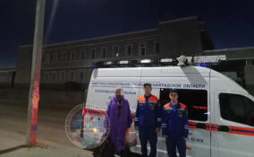 Из леса в Тосненском районе вывели пожилого мужчину