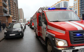 В Мурино пьяный мужчина поджёг дверь квартиры бывшей жены