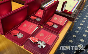 В преддверии Дня Ленобласти жителям вручают награды