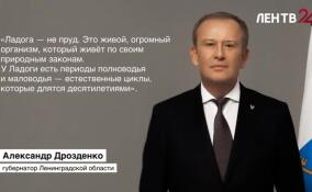 Губернатор Ленинградской области напомнил о важности сохранения экосистемы Ладожского озера