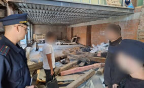 Гендиректора фирмы в Петербурге обвиняют в гибели рабочего