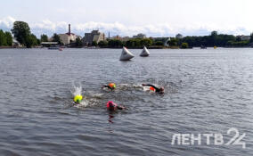 «Замковый заплыв» прошёл у стен Выборгского замка в День Ленобласти