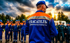 За неделю спасатели Ленобласти 65 раз выезжали на происшествия
